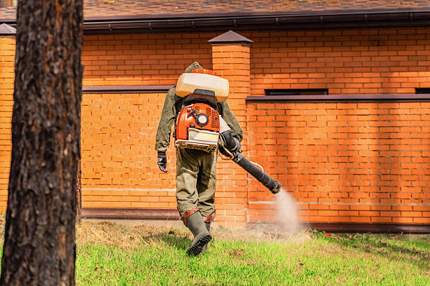 Trusted Ant Control service in Sweet Home, AR - Nex Pest Control